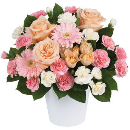 Isn't She Lovely arrangement by Dapto Florist Works